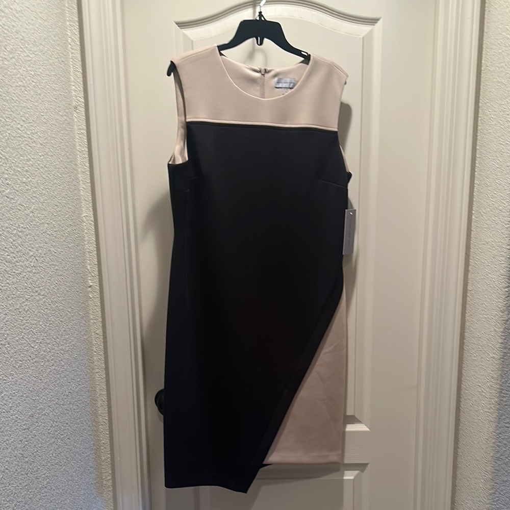 Elegant Black and Cream Dress